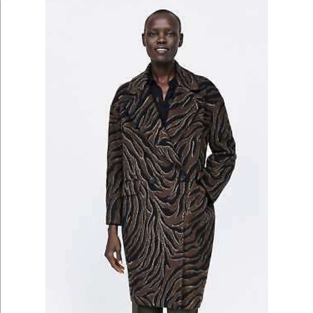 NWT Zara Oversized Coat
